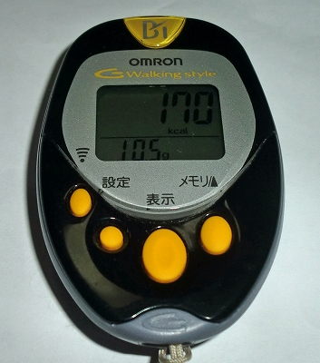 ひさしぶりのウォーキング疲れましたね!