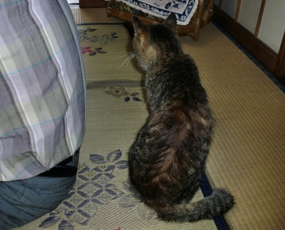今回の枕崎の旅は親父のワンマンショーでした