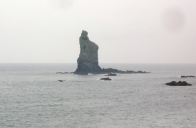 今回の枕崎の旅は親父のワンマンショーでした