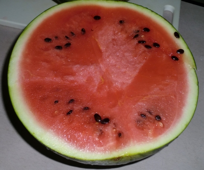 嫁さん実家の畑にひさしぶりに行きました