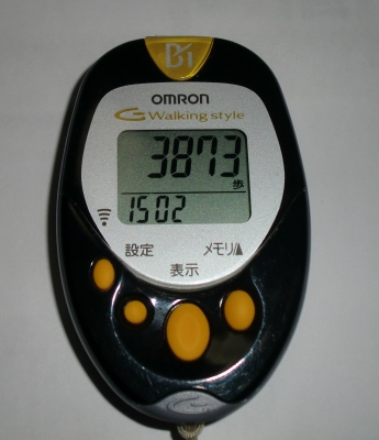 3873歩