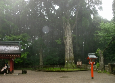 雨の中を霧島神宮へお参りへ