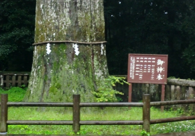 雨の中を霧島神宮へお参りへ