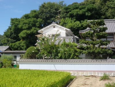 先月、見に行った松が無くなっていました