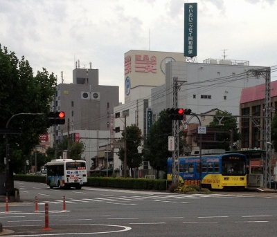 地元が地方祭なのに私は大阪の堺へだんじりを見に
