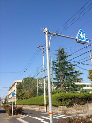 ママチャリに乗って私の母校がある新田高校近くまで走って行きました
