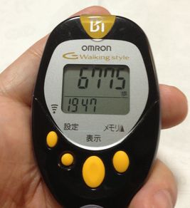 今日の歩数合計は軽く6500歩は、超えましたね