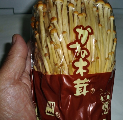 かきのき茸って知っていますか