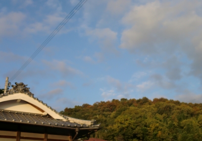 嫁さん実家近くの恵良山近辺での景色他いろいろ