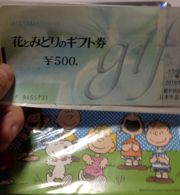 坊ちゃんカップに行って楽しんで来ました