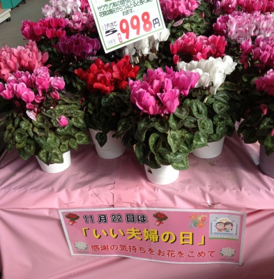 22日は亡き母の月命日なのでお墓参りへ