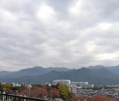 22日は亡き母の月命日なのでお墓参りへ