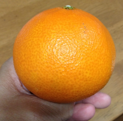 今年最初の「紅まどんな」食べました