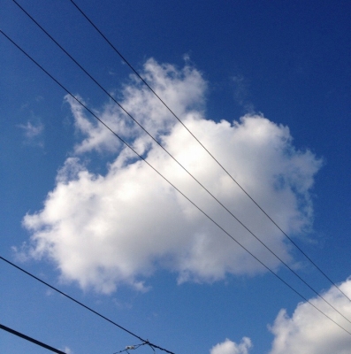 今朝起きて青空を見ると、こんな感じでした(^o^)