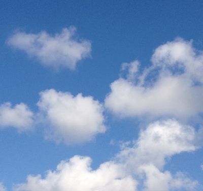 今朝起きて青空を見ると、こんな感じでした(^o^)