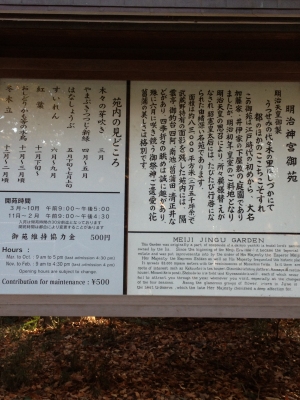 忘年会が始まるまで時間があるので明治神宮へ