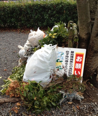 亡き母の月命日なのでお墓参りに行きました