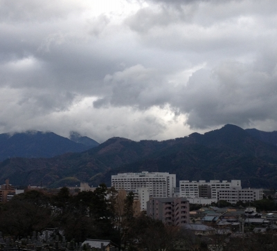 亡き母の月命日なのでお墓参りに行きました