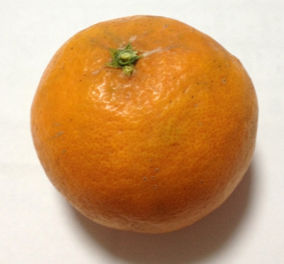 愛媛の新しい柑橘の「はれひめ」を食べました