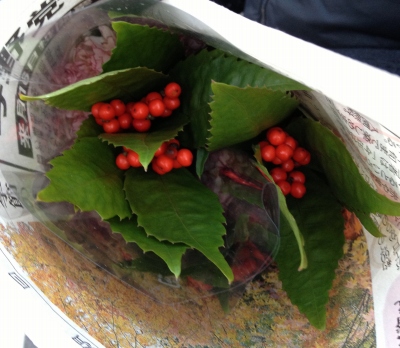 ご注文のお正月のお花を製作準備の為に仕入れに行きました