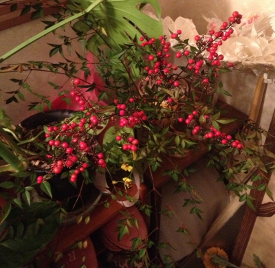 ご注文のお正月のお花を製作準備の為に仕入れに行きました