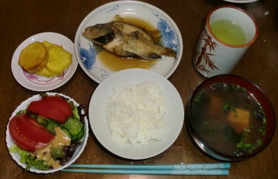 毎日、低カロリーな晩ご飯を!(1.5〜1.11)
