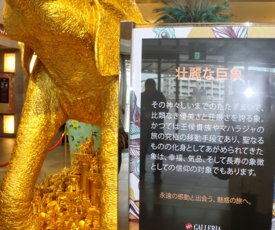 牧志駅へ着いて国際通りへ1日目