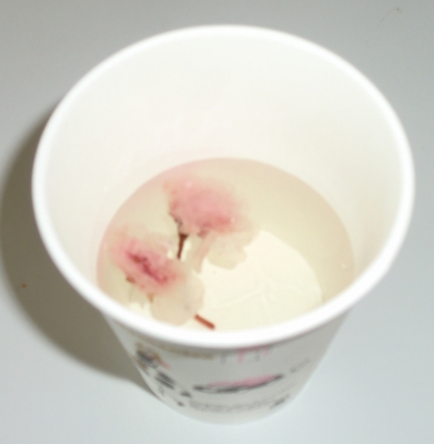 今帰仁城址(なきじんじょう)で今年最初の桜を見て感激