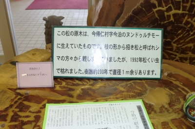 今帰仁城址(なきじんじょう)で今年最初の桜を見て感激