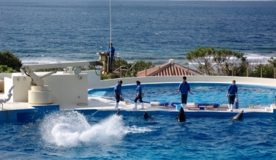 やっぱりキレイで感動した美ら海水族館