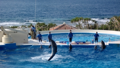 やっぱりキレイで感動した美ら海水族館