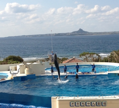 やっぱりキレイで感動した美ら海水族館