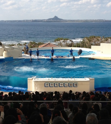 やっぱりキレイで感動した美ら海水族館