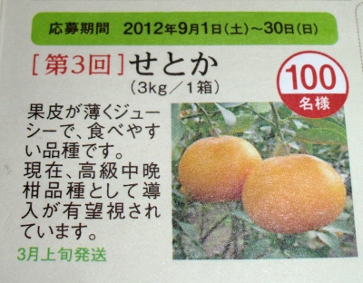 今度はフルーツゼリーを食べて応募したら【せとか】が当たりました