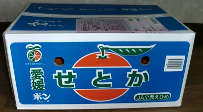 今度はフルーツゼリーを食べて応募したら【せとか】が当たりました