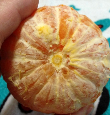 今度はフルーツゼリーを食べて応募したら【せとか】が当たりました