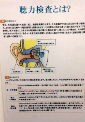 昨日は去年の12月以来の耳鼻科の通院日でした