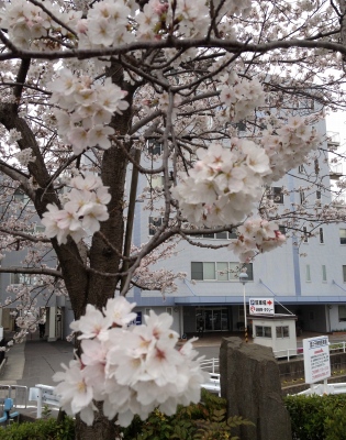 昨日は去年の12月以来の耳鼻科の通院日でした