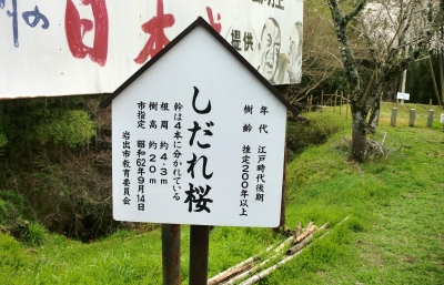 覚善寺を出て根来寺へ行きました