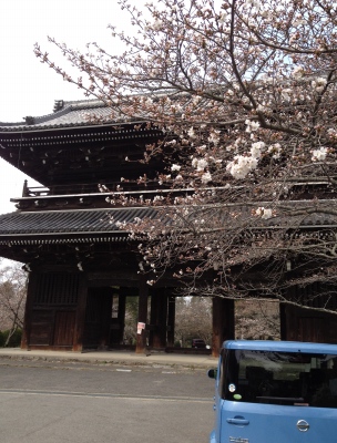 覚善寺を出て根来寺へ行きました