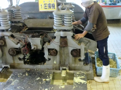 次の目的地は黒糖工場いっぱい試食しました