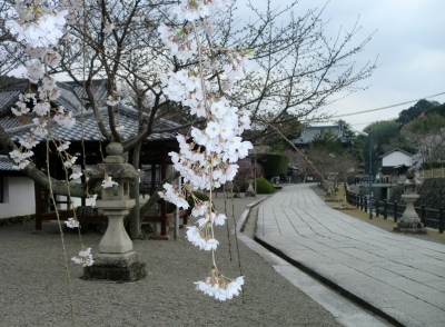 根来寺を車窓見学後に粉河寺へ行きました