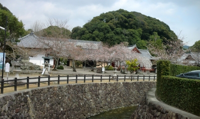 根来寺を車窓見学後に粉河寺へ行きました