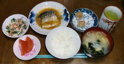毎日、低カロリーな晩ご飯を!(4.13〜4.19)