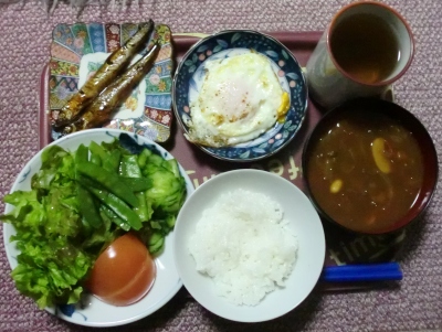 毎日、低カロリーな晩ご飯を!(4.20〜4.26)