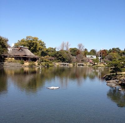 熊本での最終目的地の水前寺公園へ行きました
