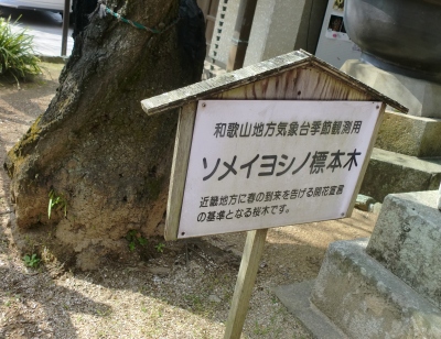 紀三井寺は、素晴らしい大きなお寺でした