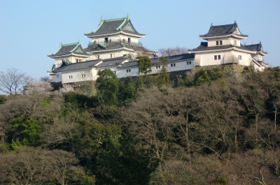 結婚記念日の和歌山旅行も楽しい思い出作りが出来ました
