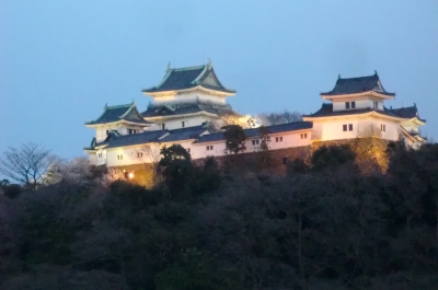 結婚記念日の和歌山旅行も楽しい思い出作りが出来ました