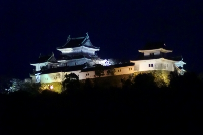 結婚記念日の和歌山旅行も楽しい思い出作りが出来ました